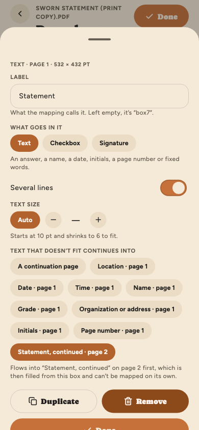 The statement box's settings: its label, Text chosen over Checkbox and Signature, several lines on, text size Auto, and continuing into Statement, continued on page 2, with Duplicate and Remove.